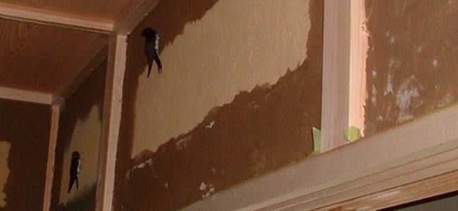 シックハウス対策